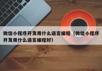 微信小程序開發(fā)用什么語(yǔ)言編程（微信小程序開發(fā)用什么語(yǔ)言編程好）
