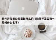 軟件開(kāi)發(fā)類公司是做什么的（軟件開(kāi)發(fā)公司一般叫什么名字）