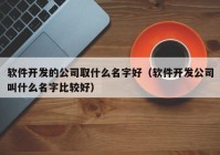 軟件開(kāi)發(fā)的公司取什么名字好（軟件開(kāi)發(fā)公司叫什么名字比較好）
