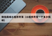 微信商城小程序開發(fā)（小程序開發(fā)一個多少錢?。? /></a>
		</div>
		<div   id=