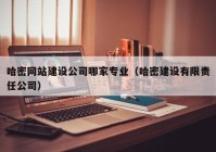 哈密網(wǎng)站建設公司哪家專業(yè)（哈密建設有限責任公司）