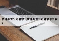 軟件開發(fā)公司名字（軟件開發(fā)公司名字怎么?。? /></a>
		</div>
		<div   id=