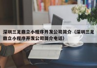 深圳三足鼎立小程序開發(fā)公司簡(jiǎn)介（深圳三足鼎立小程序開發(fā)公司簡(jiǎn)介電話）