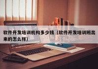 軟件開發(fā)培訓(xùn)機(jī)構(gòu)多少錢（軟件開發(fā)培訓(xùn)班出來的怎么樣）