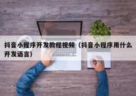抖音小程序開(kāi)發(fā)教程視頻（抖音小程序用什么開(kāi)發(fā)語(yǔ)言）