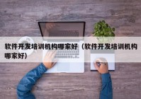 軟件開(kāi)發(fā)培訓(xùn)機(jī)構(gòu)哪家好（軟件開(kāi)發(fā)培訓(xùn)機(jī)構(gòu)哪家好）