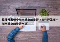 軟件開發(fā)哪個(gè)城市就業(yè)前景好（軟件開發(fā)哪個(gè)城市就業(yè)前景好一點(diǎn)）