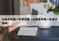 小程序開發(fā)一年多少錢（小程序開發(fā)一年多少錢?。? /></a>
		</div>
		<div   id=