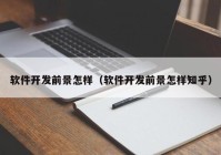 軟件開(kāi)發(fā)前景怎樣（軟件開(kāi)發(fā)前景怎樣知乎）