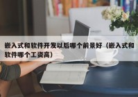 嵌入式和軟件開發(fā)以后哪個前景好（嵌入式和軟件哪個工資高）