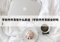 學(xué)軟件開(kāi)發(fā)有什么前途（學(xué)軟件開(kāi)發(fā)就業(yè)好嗎）